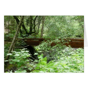 Muir Woods Bridge I