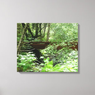 Muir Woods Bridge I Canvas Print
