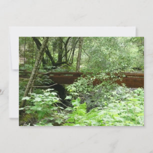 Muir Woods Bridge I Card