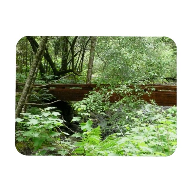 Muir Woods Bridge I Magnet (Horizontal)