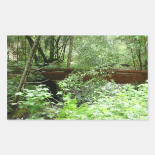 Muir Woods Bridge I Sticker