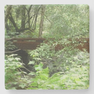 Muir Woods Bridge I Stone Coaster