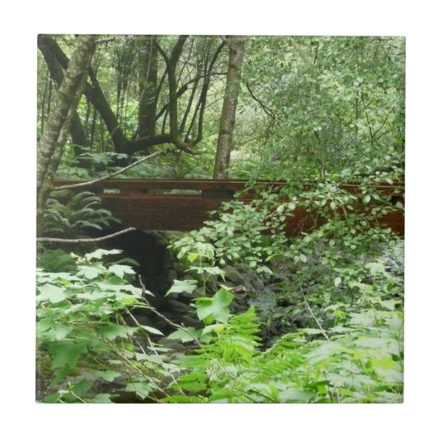 Muir Woods Bridge I Tile (Front)