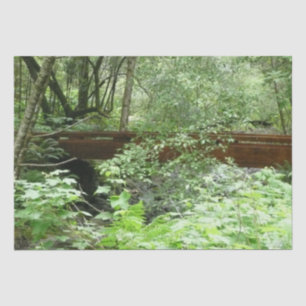 Muir Woods Bridge I Tissue Paper