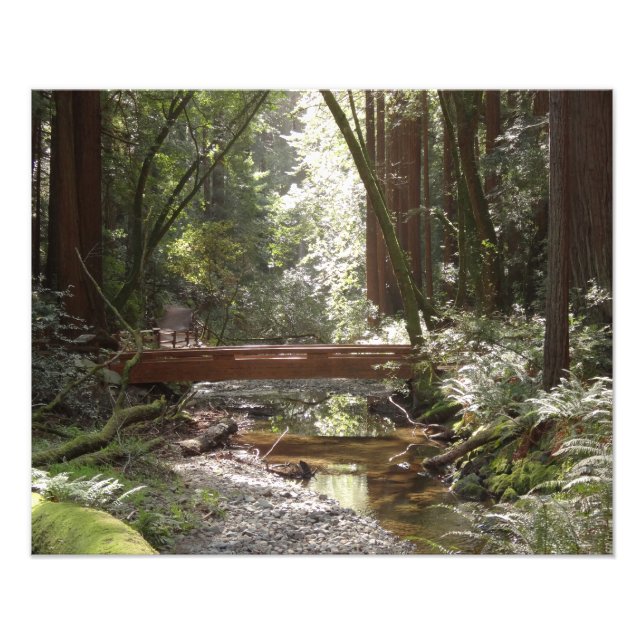Muir Woods Bridge II Photo Print (Front)