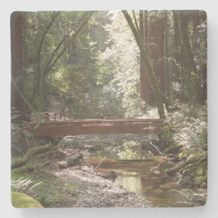 Muir Woods Bridge II Stone Coaster
