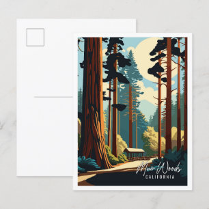 Muir Woods California vintage travel illustration Postcard