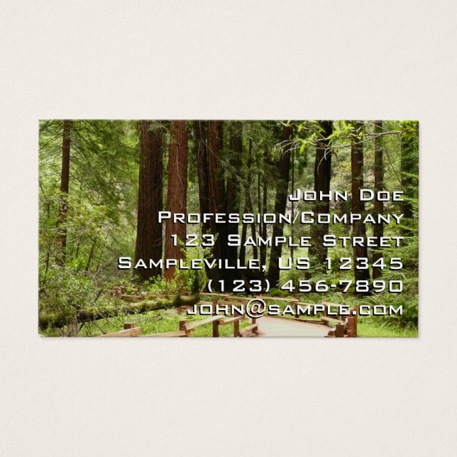 Muir Woods Chemin I Nature Photographie (Devant)