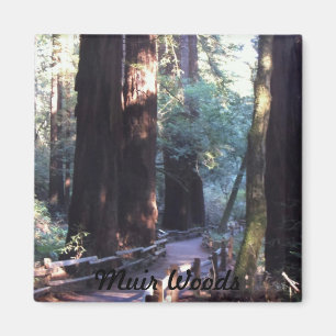 Muir Woods Magnet
