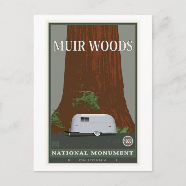 Muir Woods National Monument 1 Postcard (Front)