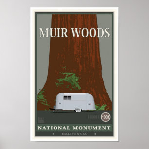 Muir Woods National Monument 1 Poster