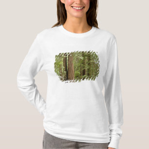 Muir Woods National Monument, Northern T-Shirt