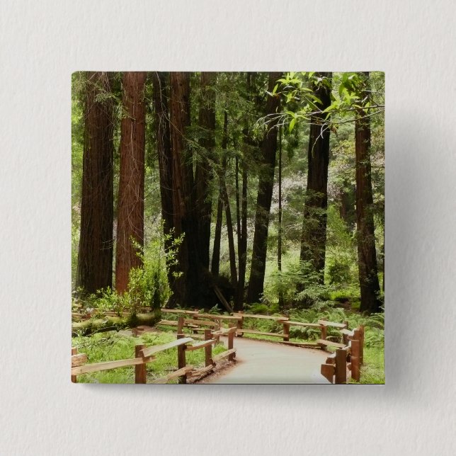 Muir Woods Path I Nature Photography 2 Inch Square Button (Front)