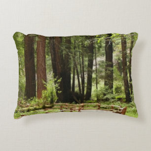 Muir Woods Path I Nature Photography Accent Pillow