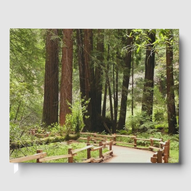 Muir Woods Path I Nature Photography Guest Book (Front)