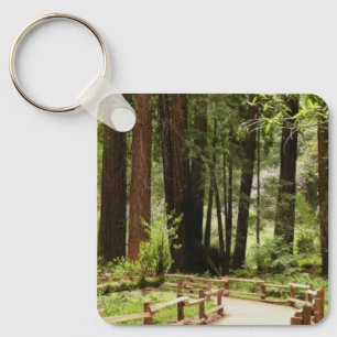 Muir Woods Path I Nature Photography Keychain