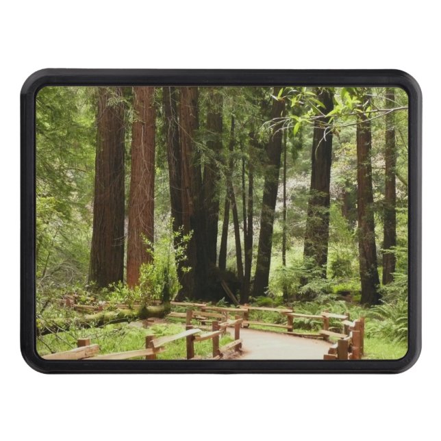 Muir Woods Path I Nature Photography Trailer Hitch Cover (Front)