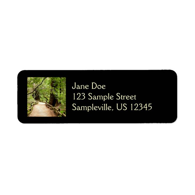 Muir Woods Path II Nature Photography (Front)