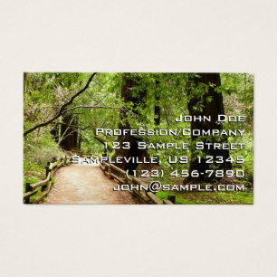 Muir Woods Path II Nature Photography