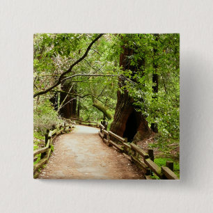 Muir Woods Path II Nature Photography 2 Inch Square Button