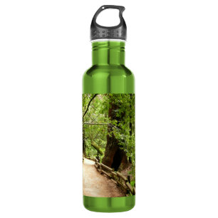 Muir Woods Path II Nature Photography 710 Ml Water Bottle