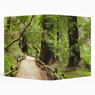 Muir Woods Path II Nature Photography Binder