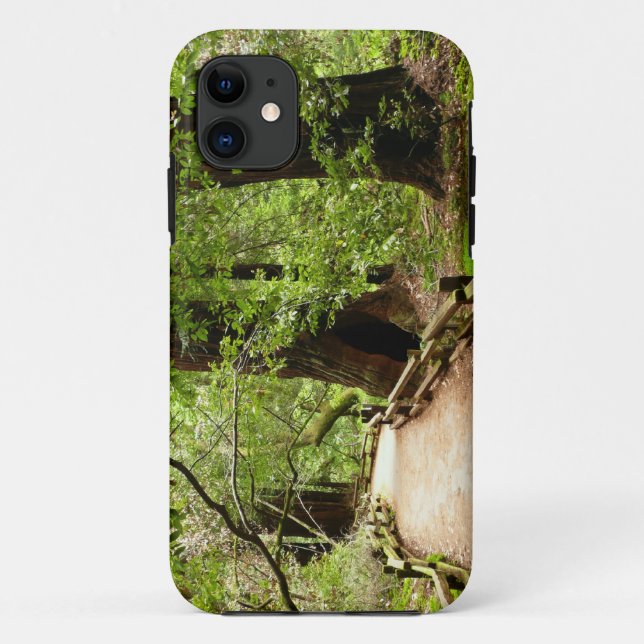 Muir Woods Path II Nature Photography Case-Mate iPhone Case (Back)