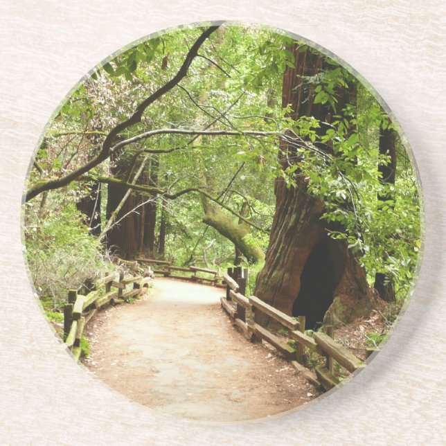 Muir Woods Path II Nature Photography Coaster (Front)