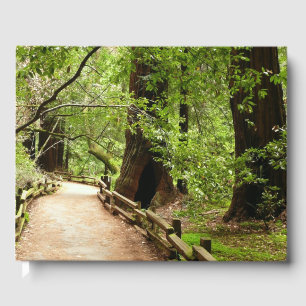 Muir Woods Path II Nature Photography Guest Book