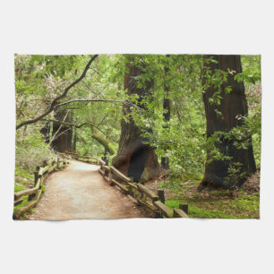 Muir Woods Path II Nature Photography Kitchen Towel