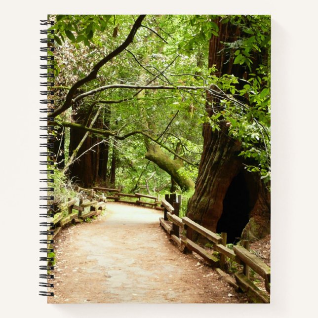 Muir Woods Path II Nature Photography Notebook (Front)