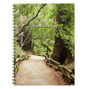 Muir Woods Path II Nature Photography Notebook