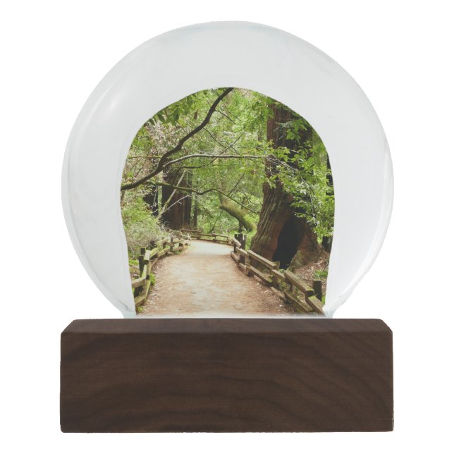 Muir Woods Path II Nature Photography Snow Globe (Front)