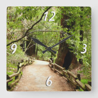 Muir Woods Path II Nature Photography