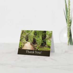Muir Woods Path II Nature Photography Thank You Card