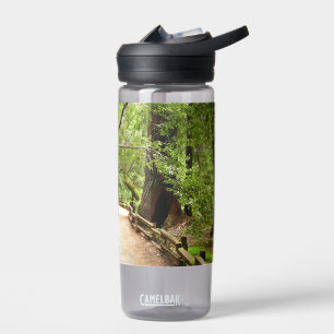 Muir Woods Path II Nature Photography Water Bottle