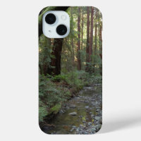 Muir Woods Stream Forest Landscape