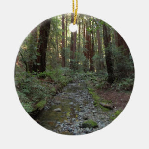 Muir Woods Stream Forest Landscape Ceramic Ornament