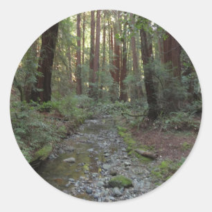 Muir Woods Stream Forest Landscape Classic Round Sticker