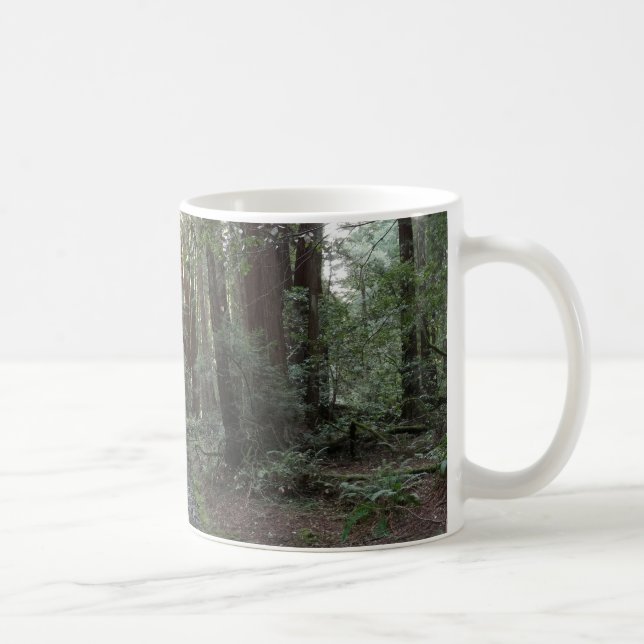 Muir Woods Stream Forest Landscape Coffee Mug (Right)