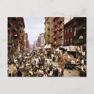Mulberry Street Postcard