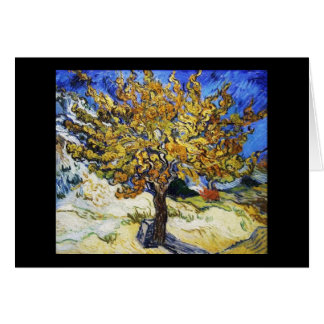 Mulberry Tree