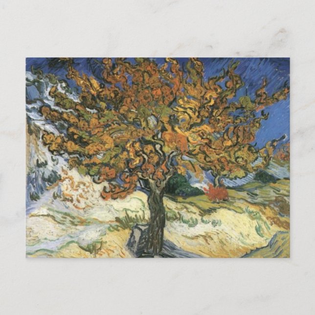 Mulberry Tree by van Gogh Postcard (Front)