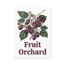Mulberry Tree Mulberries Fruit Orchard
