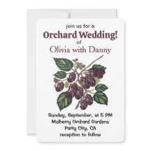Mulberry Tree Mulberries Orchard Wedding