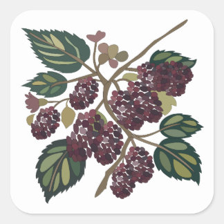 Mulberry Tree Mulberries Orchard Wedding Party Square Sticker