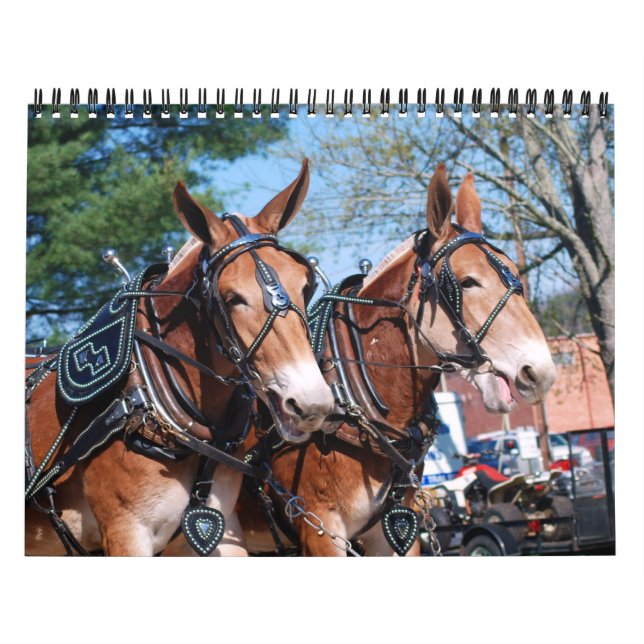 MULE DAYS CALENDAR (Cover)