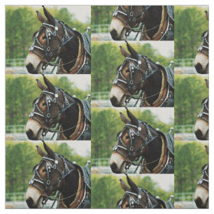 mule days fabric