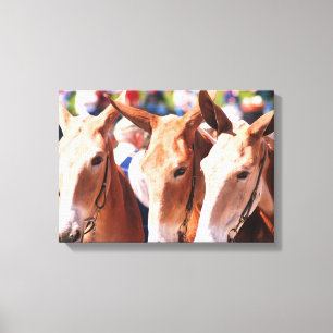 mule days in columbia tn canvas print