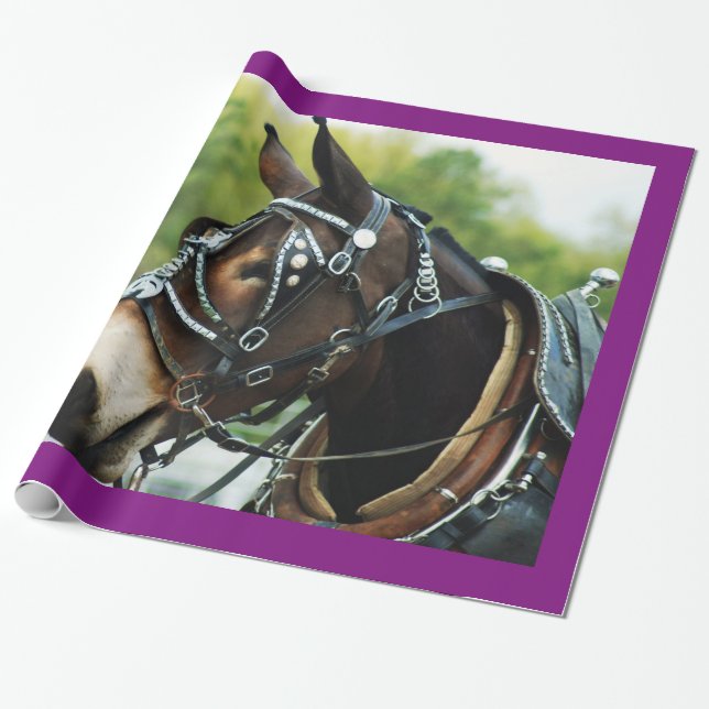 mule days wrapping paper (Unrolled)